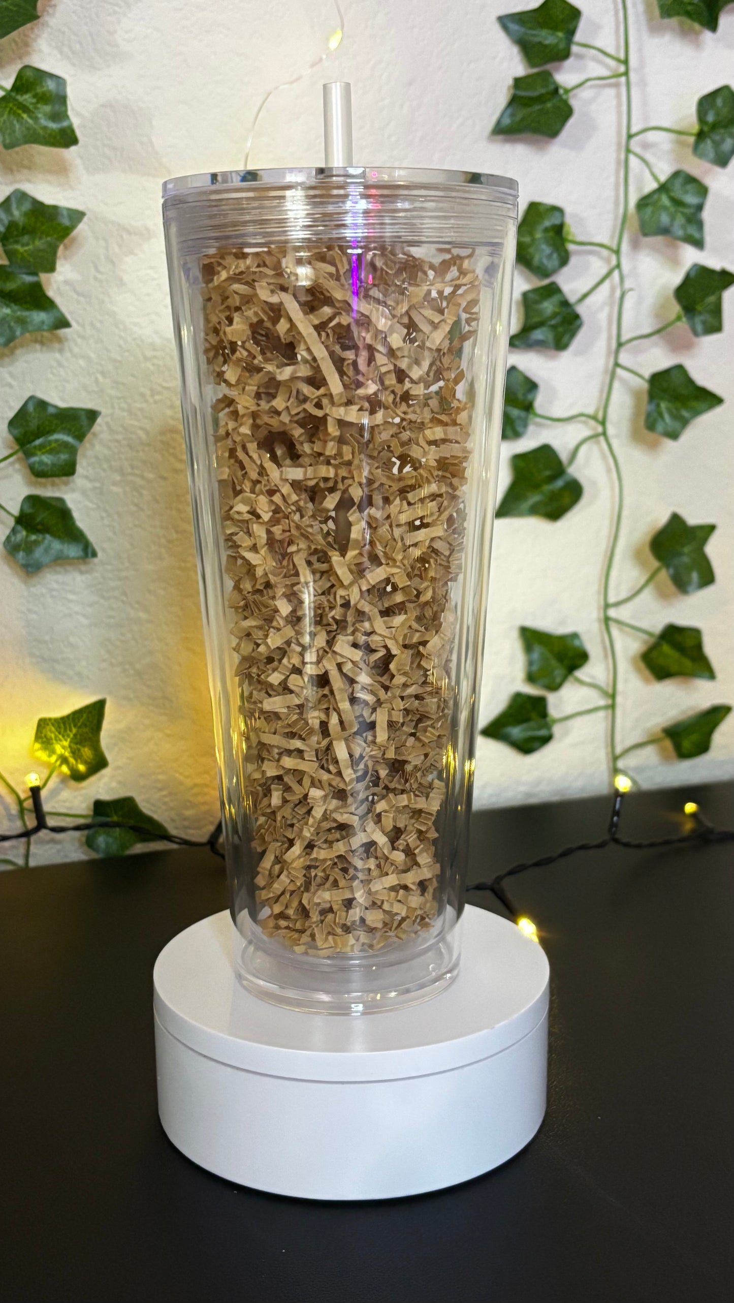Snowglobe Acrylic Tumbler - 24oz