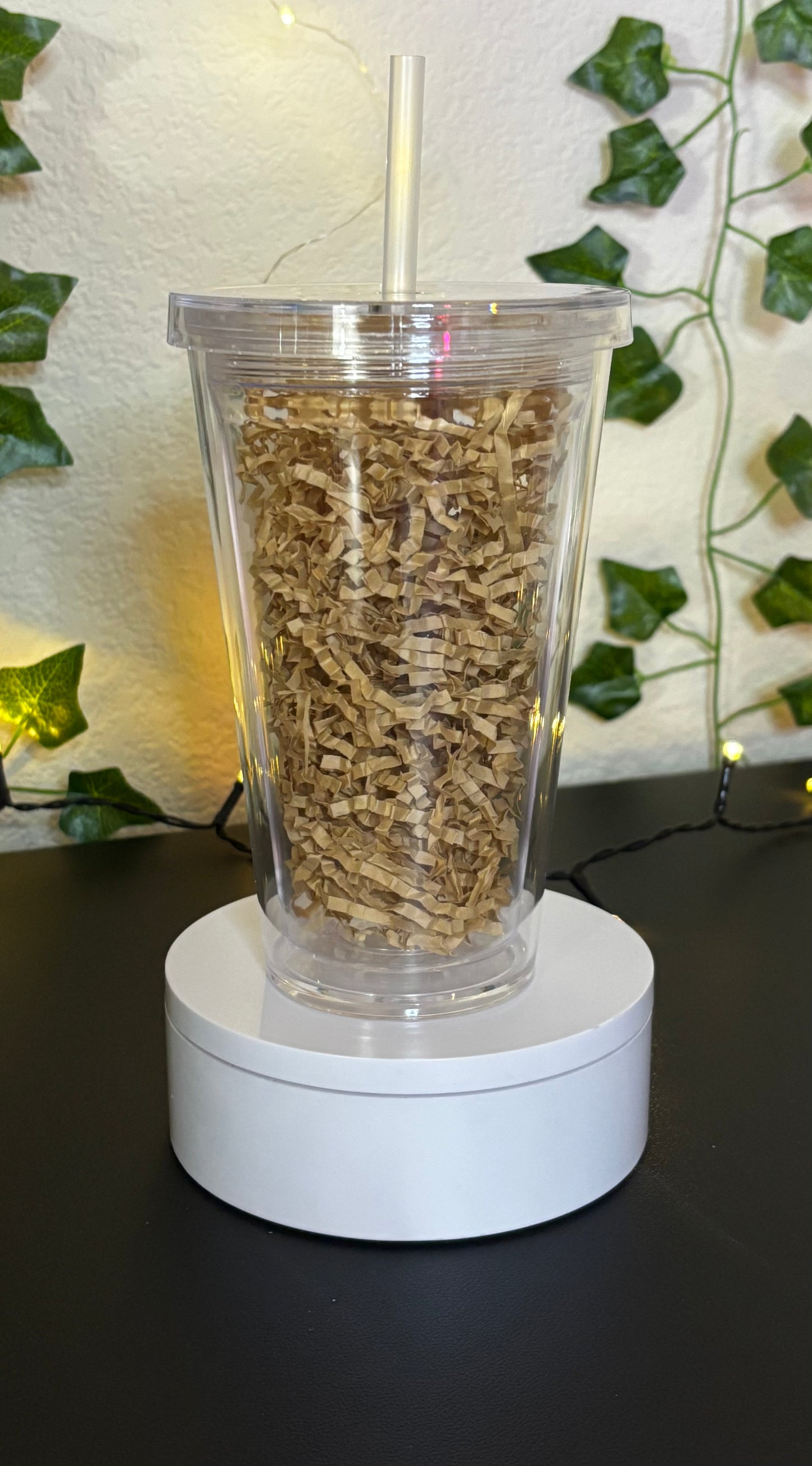 Snowglobe Acrylic Tumbler - 16oz